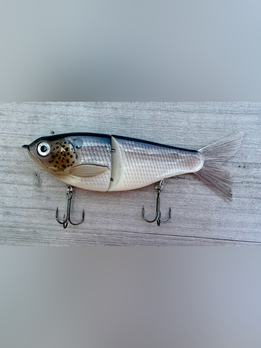 Glide Bait Fishing Lure